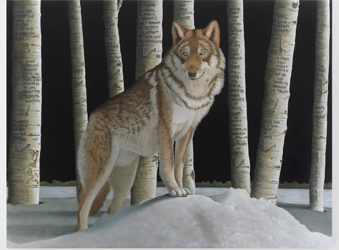 A painting of a wolf standing in snow among birch trees carved with words